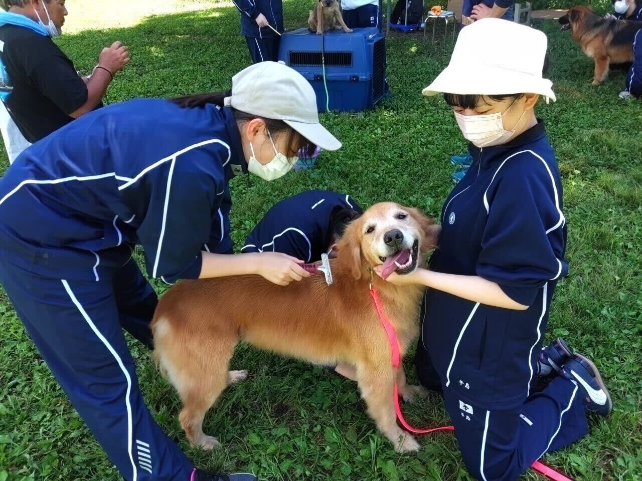 クラーク記念国際高等学校 東京キャンパス(東京都新宿区) 専門分野の学びと 多彩な実習で夢に近づく - よみうり進学メディア